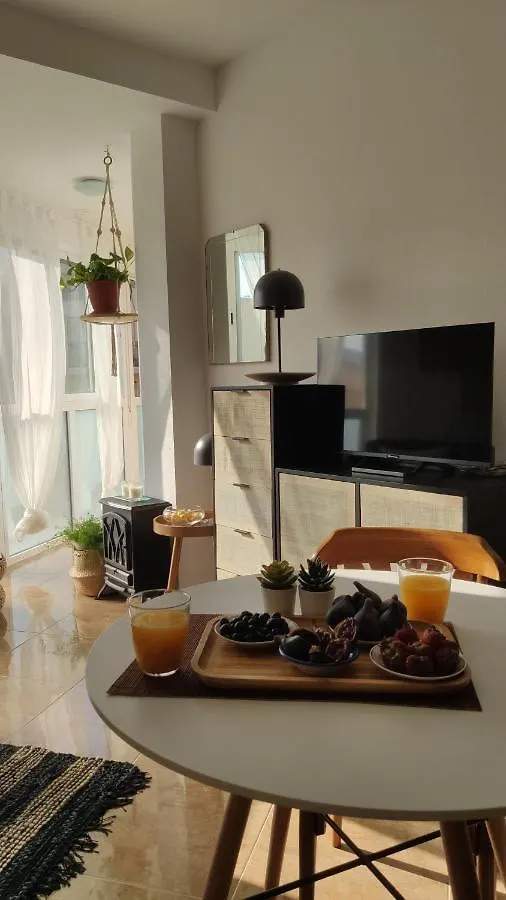 L'Attic, Reserva Biosfera - Terres De L'Ebre Apartment Sant Carles De La Rapita Spain