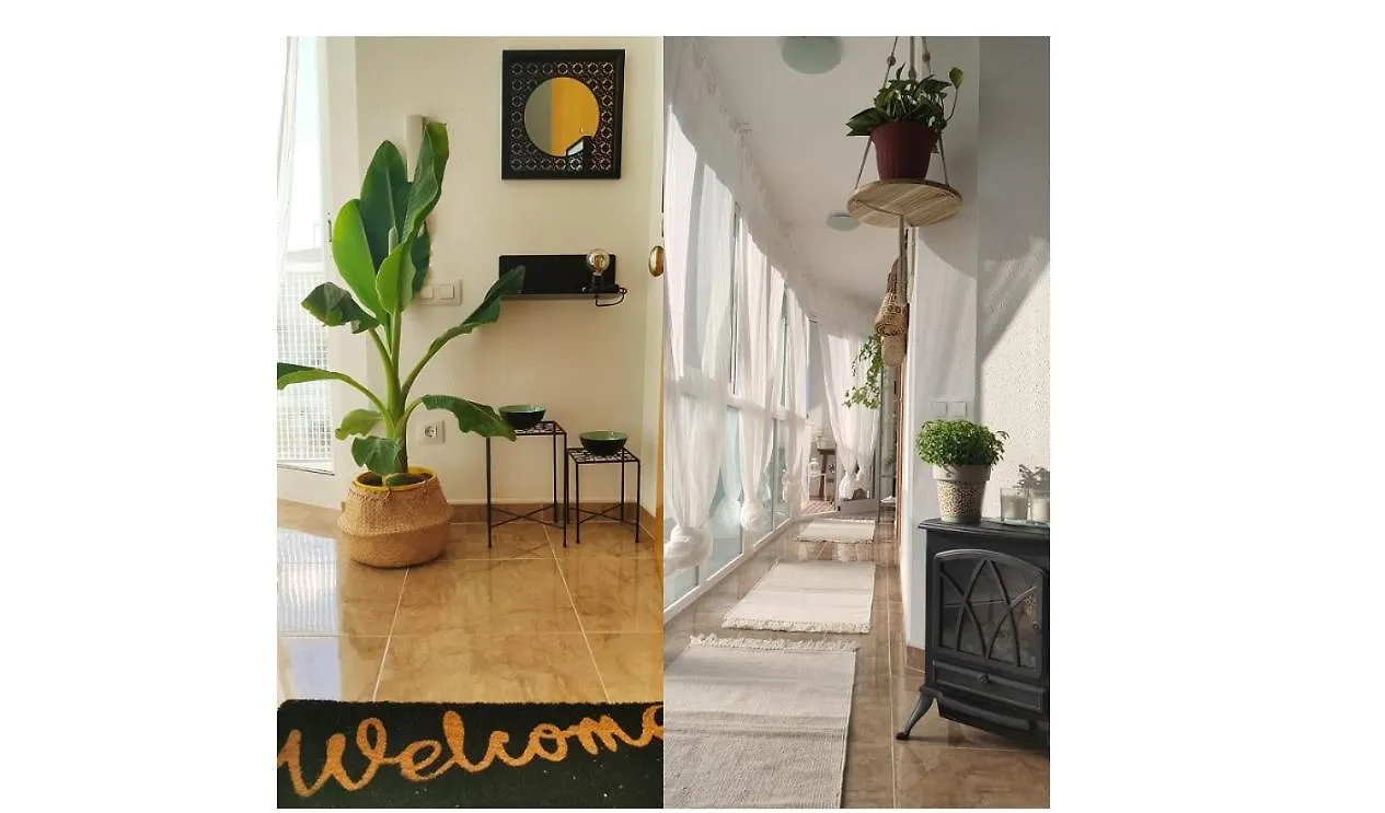 L'Attic, Reserva Biosfera - Terres De L'Ebre Apartment Sant Carles De La Rapita